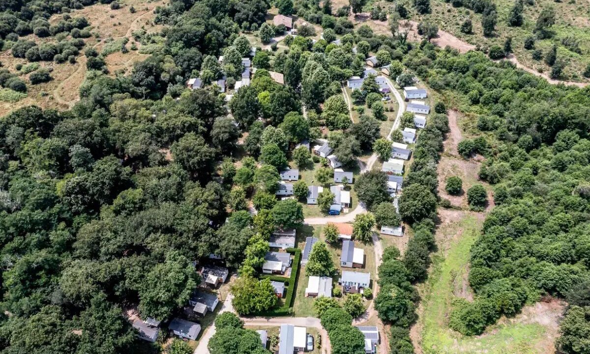 Photo of Outdoor in Saint-Paul-en-Born
