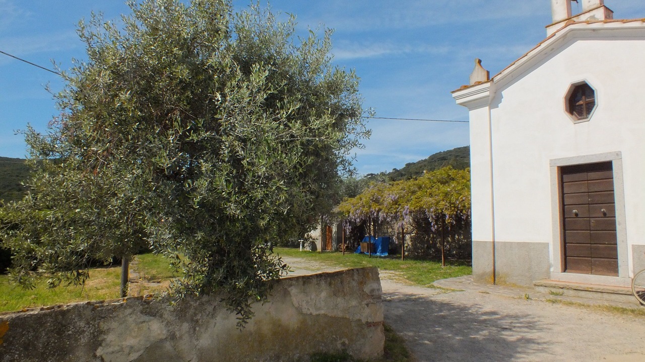 Photo of Outdoor in Campo nell'Elba