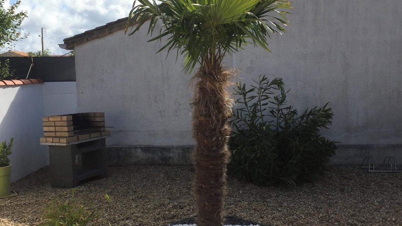 Photo of Outdoor in Port District