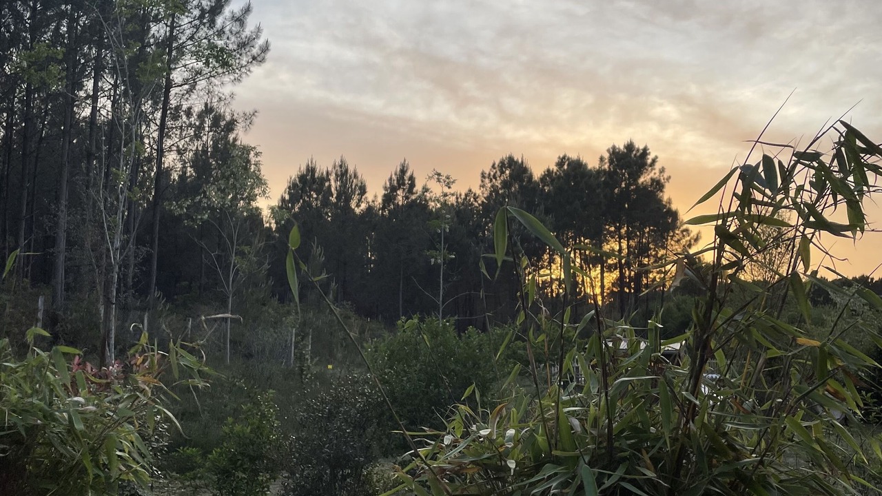 Photo of Outdoor in Tosse