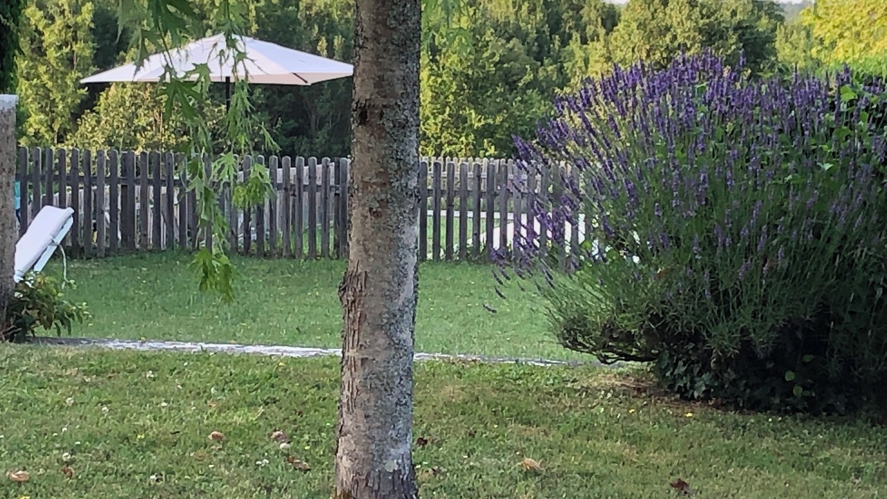 Photo of Outdoor in Lamothe-Montravel
