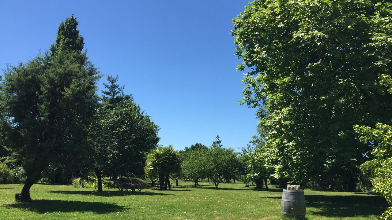 Photo of Others in La Lande-de-Fronsac