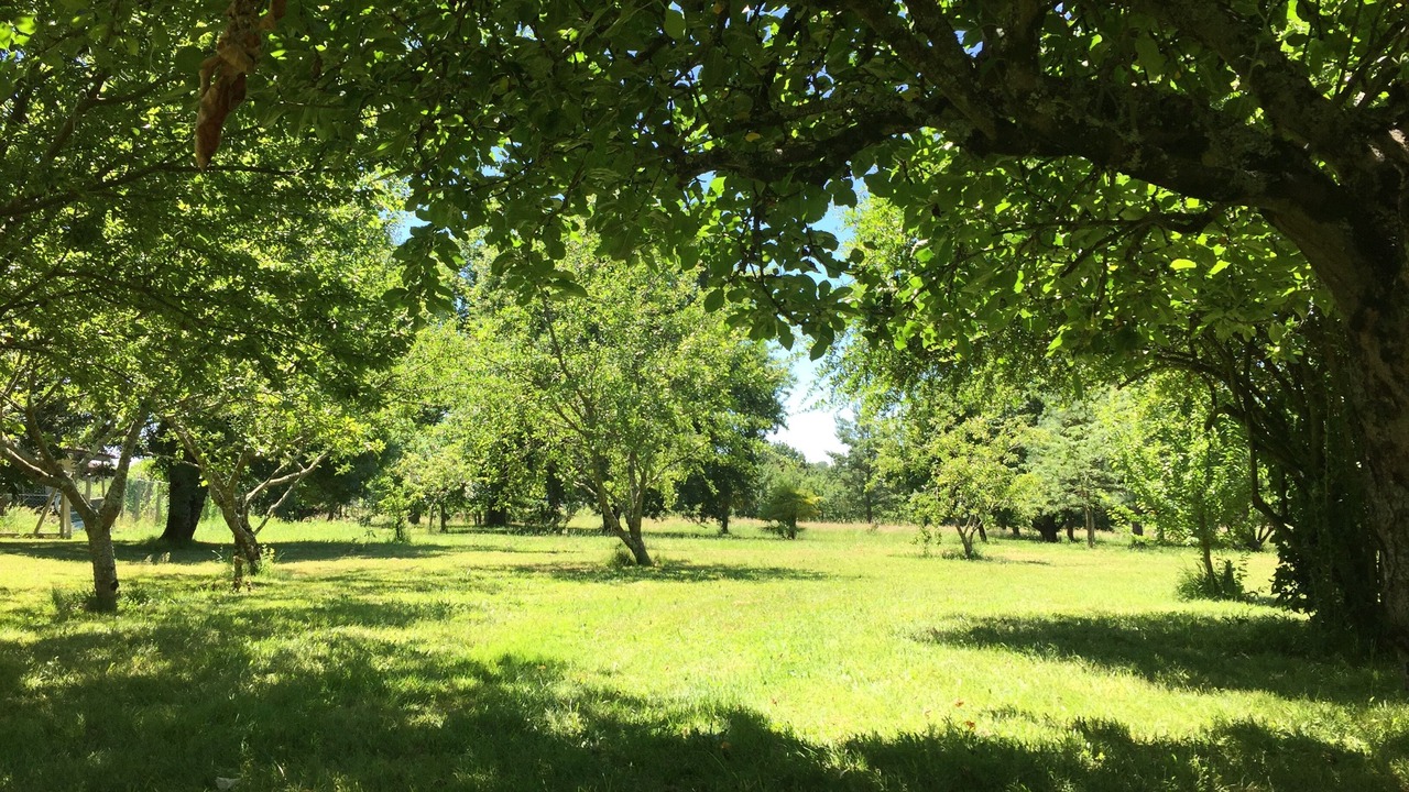 Photo of Others in La Lande-de-Fronsac