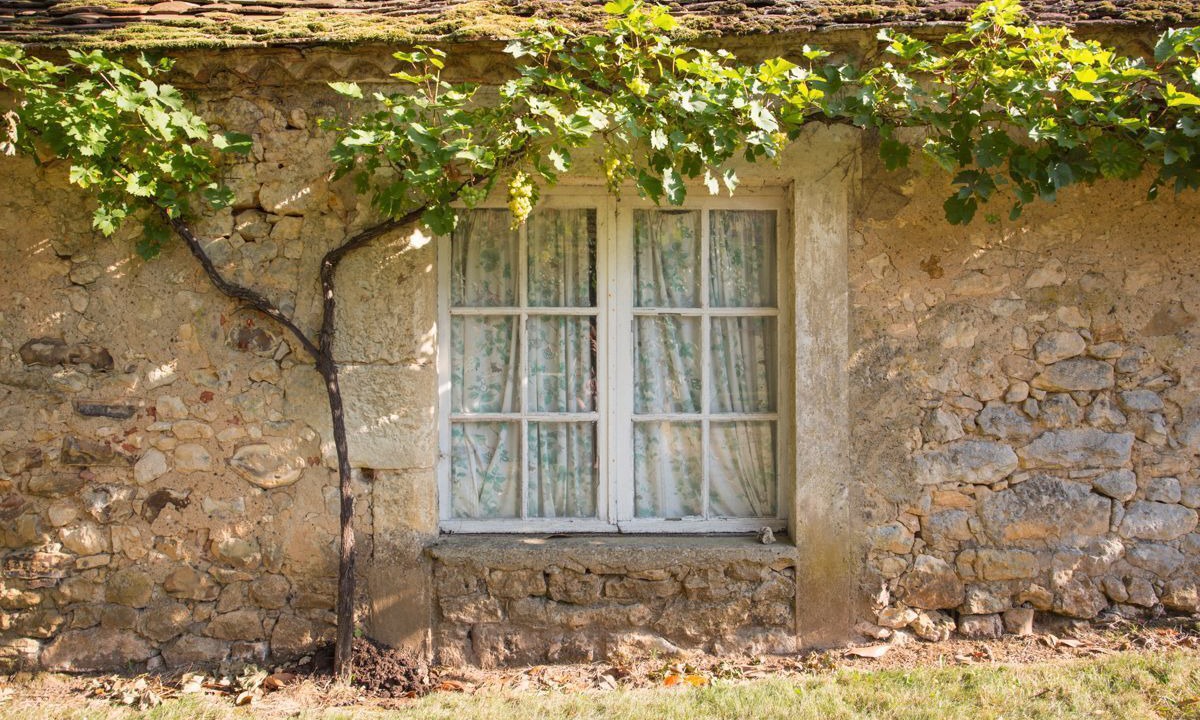 Photo of Others in Liorac-sur-Louyre