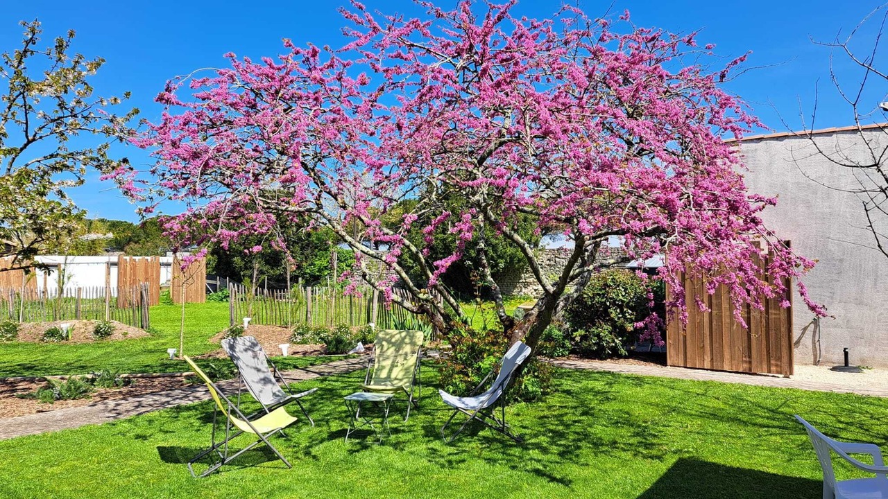 Photo of Outdoor in La Flotte
