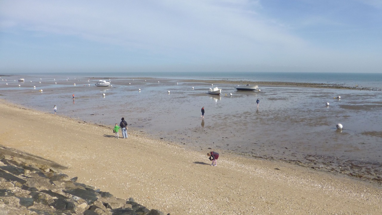 Photo of Others in La Flotte