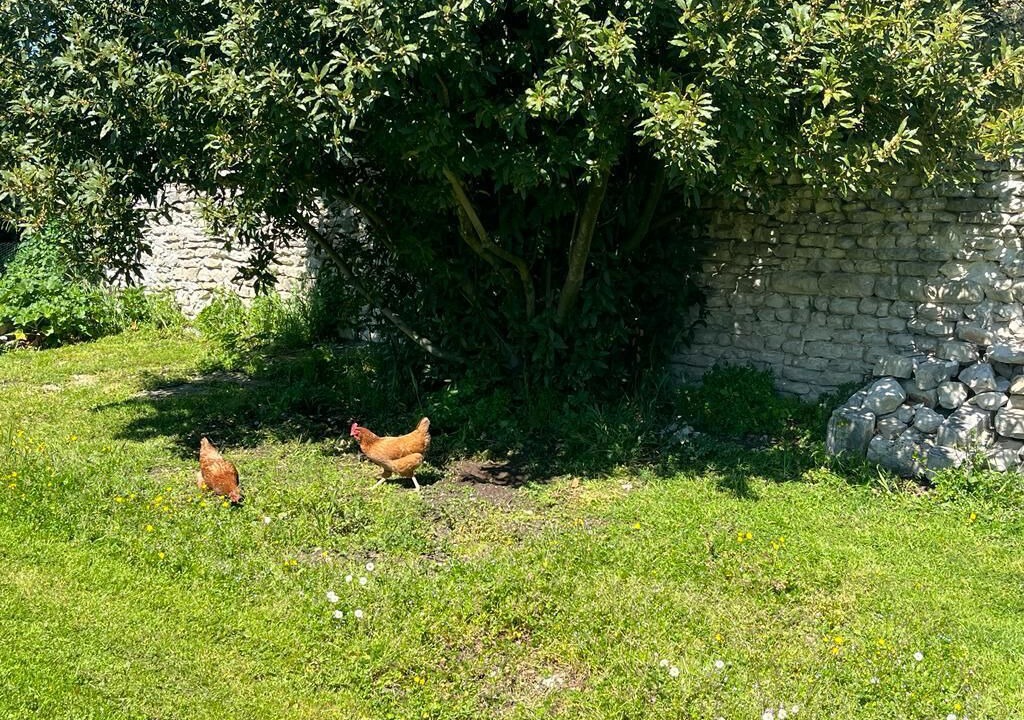 Photo of Outdoor in La Flotte