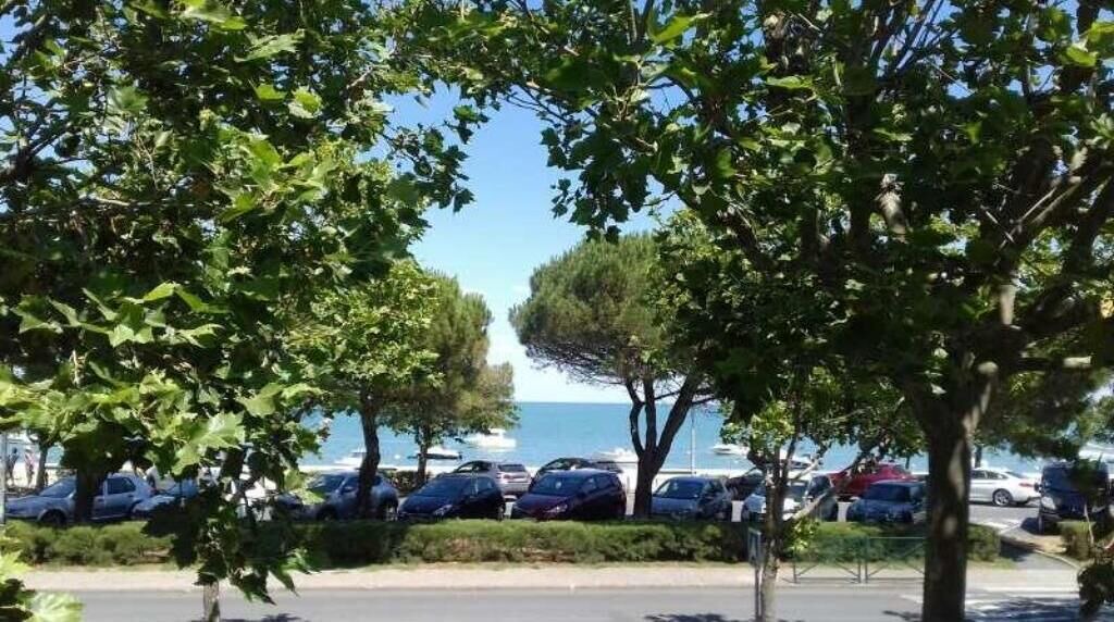 Photo of Others in La Flotte