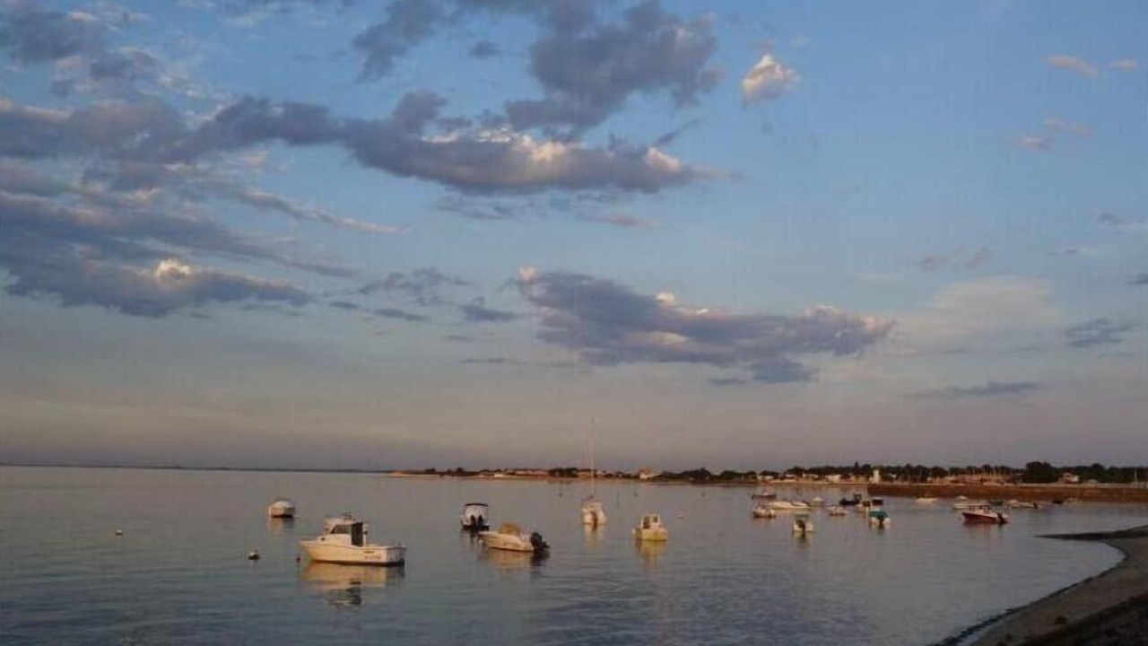 Photo of Others in La Flotte