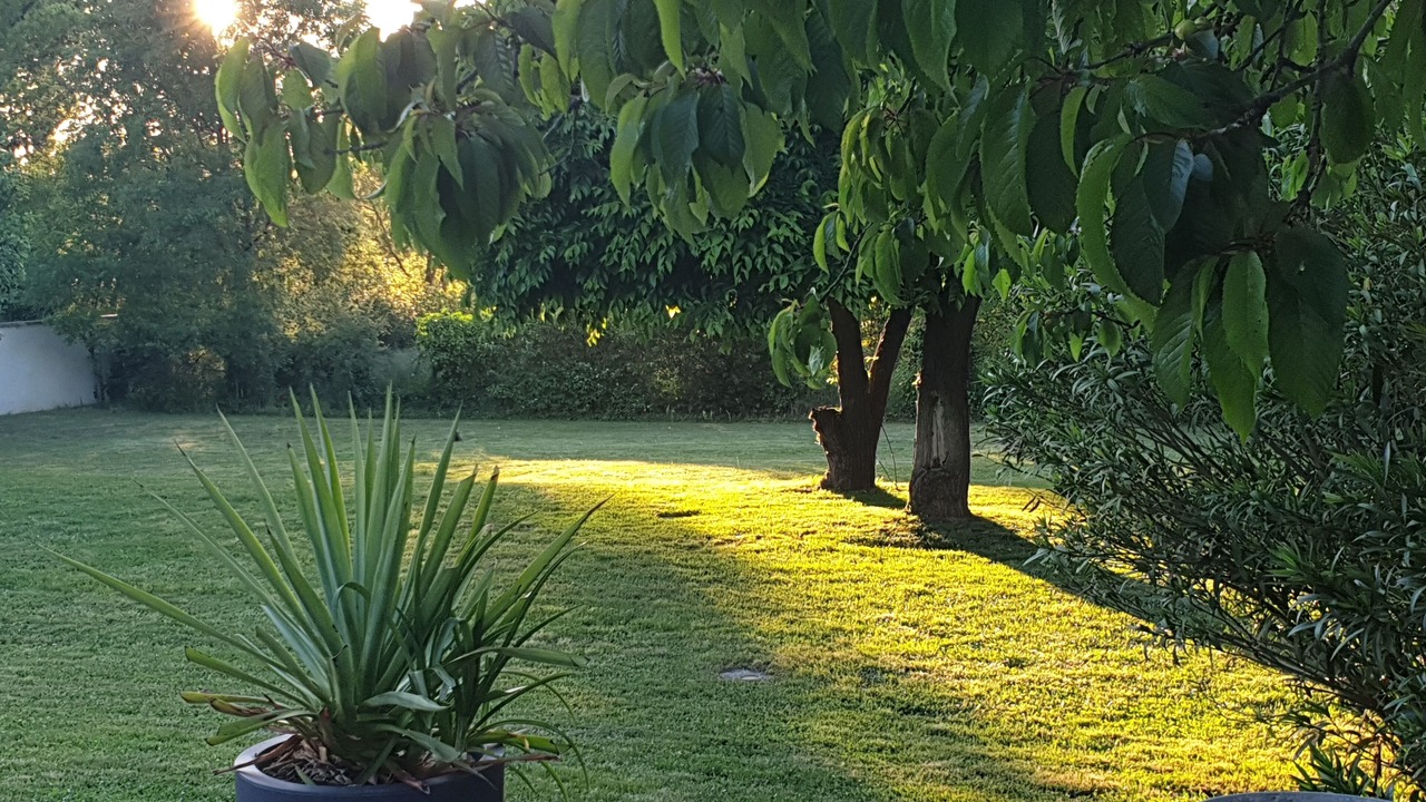 Photo of Outdoor in Soubise