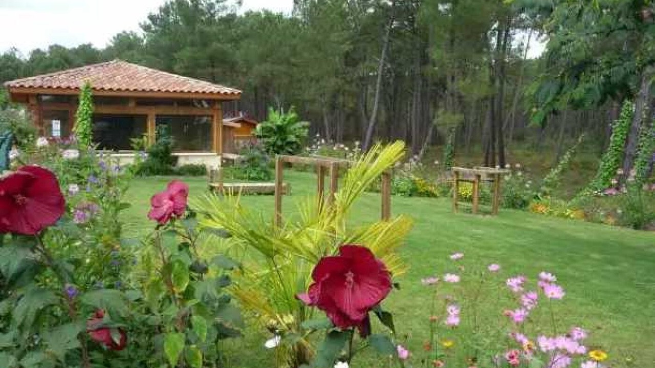 Photo of Outdoor in Saint-Michel-Escalus