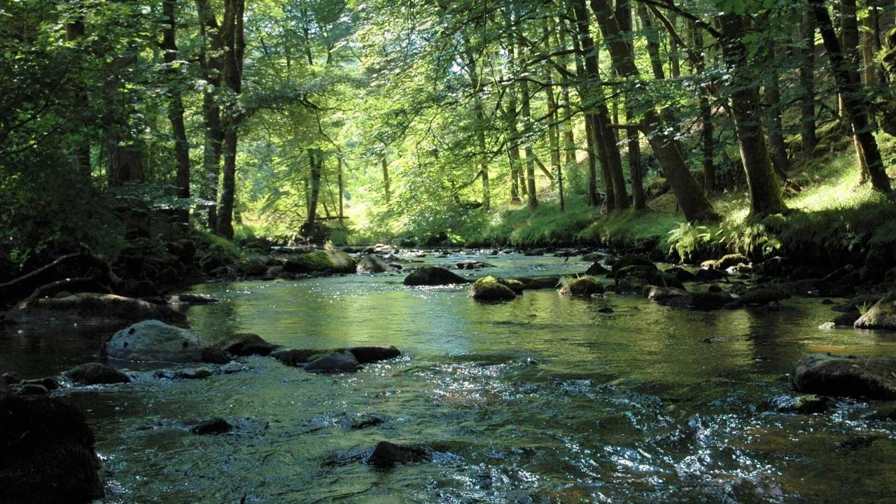 Photo of Others in Correze