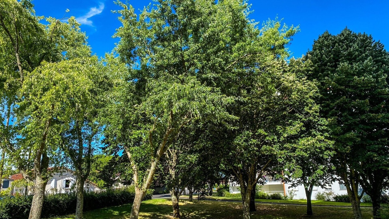 Photo of Outdoor in Clou Bouchet
