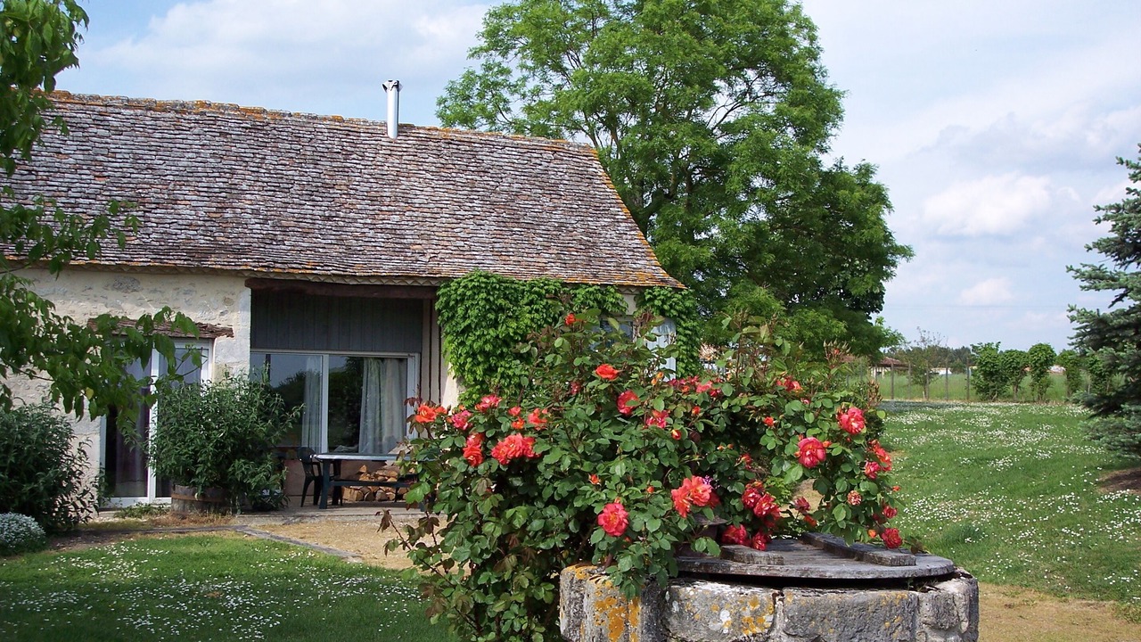 Photo of Outdoor in Saint-Remy
