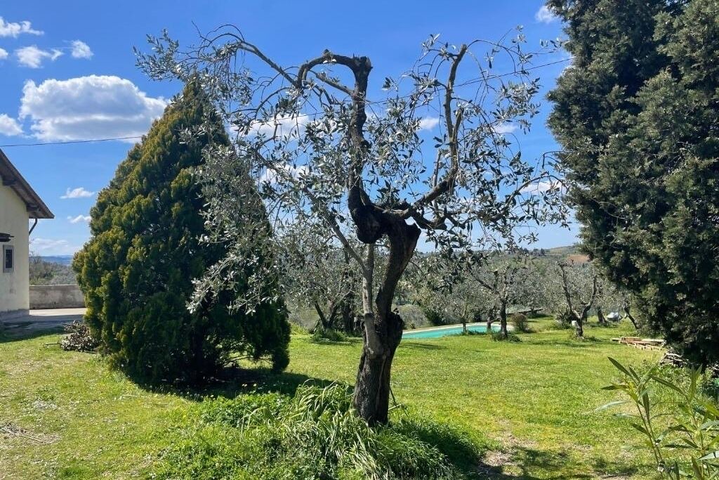 Photo of Outdoor in Lastra a Signa