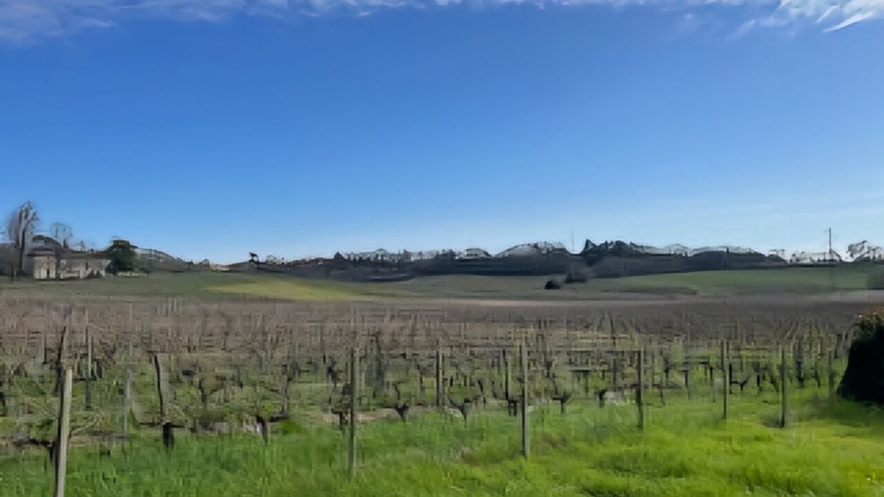 Photo of Outdoor in Saint-Aignan