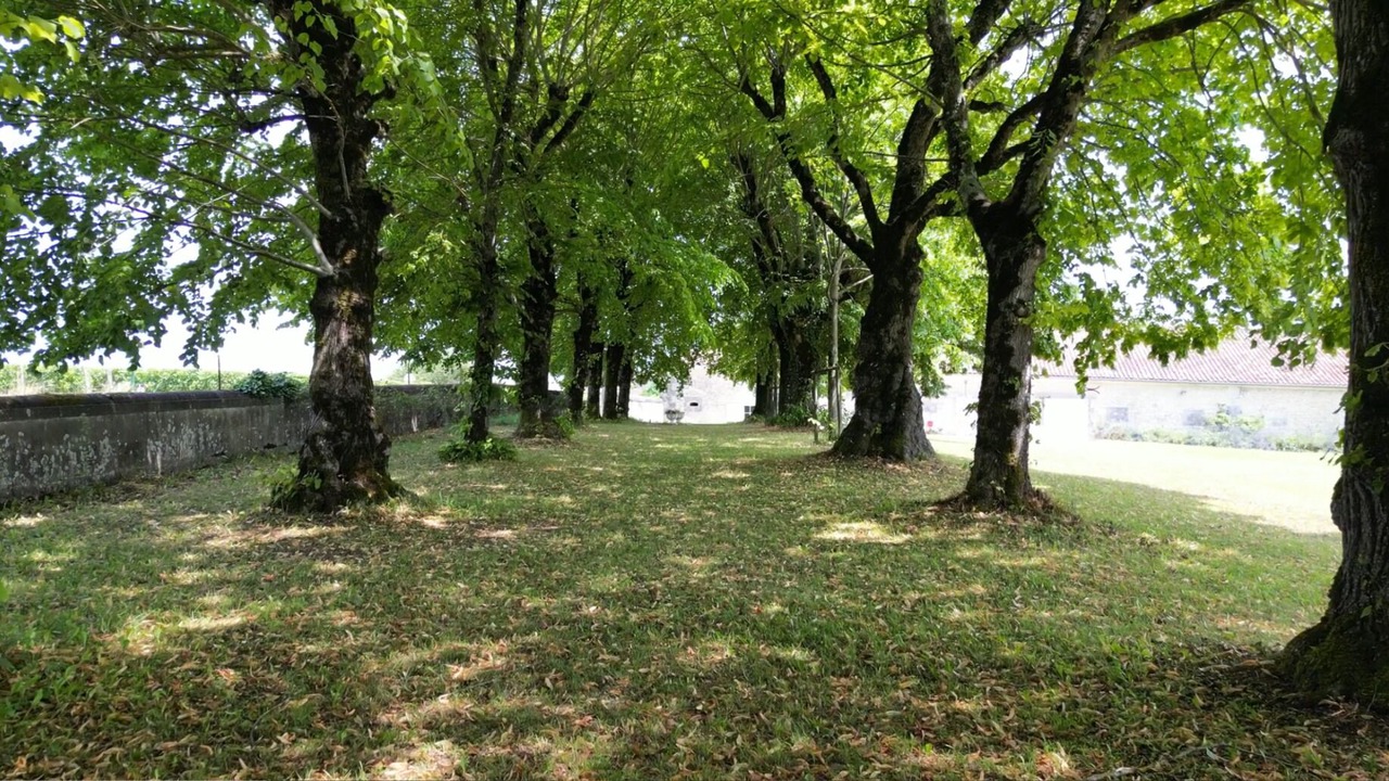 Photo of Outdoor in Criteuil-la-Magdeleine