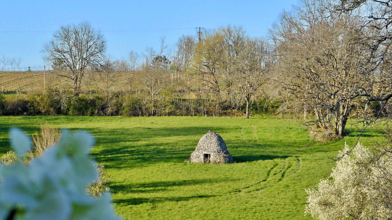 Photo of Others in Florimont-Gaumier