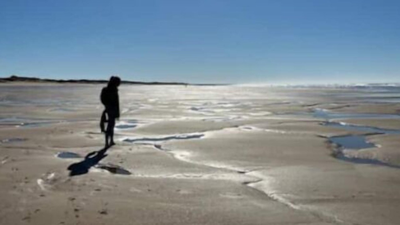 Photo of Others in Dolus-d'Oleron