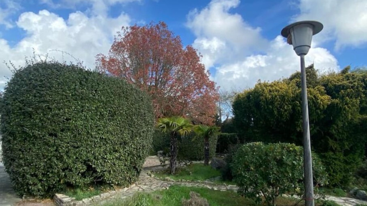 Photo of Outdoor in Dolus-d'Oleron