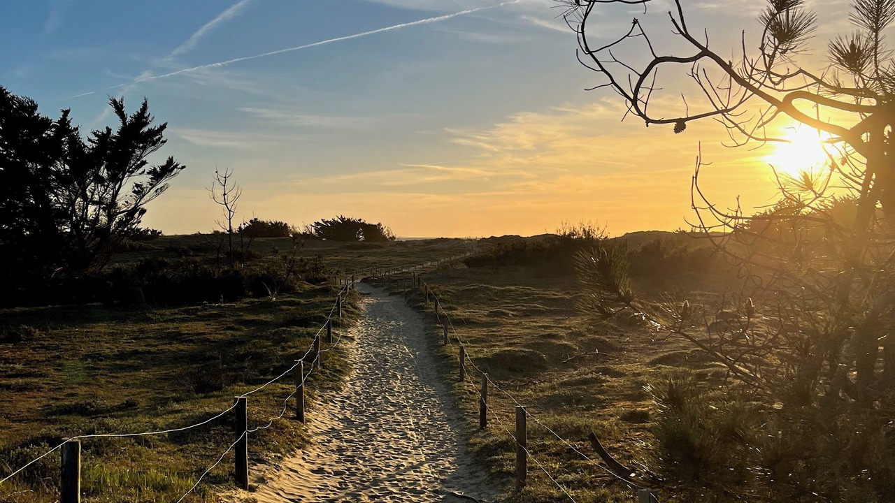 Photo of Others in Dolus-d'Oleron