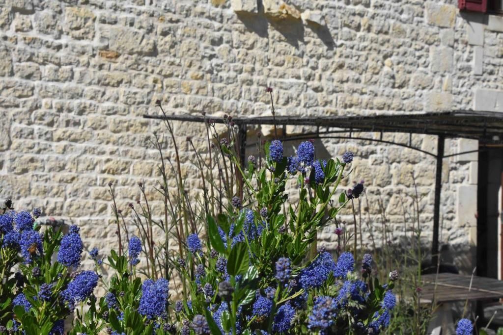 Photo of Outdoor in Mazieres-sur-Beronne