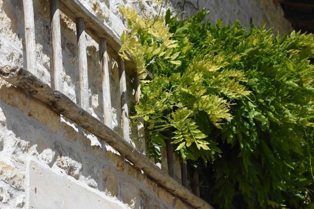Photo of Outdoor in Mazieres-sur-Beronne