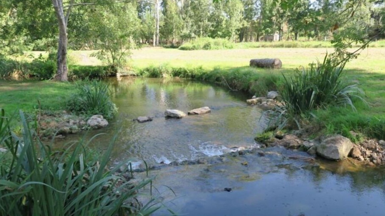 Photo of Outdoor in Mazieres-sur-Beronne