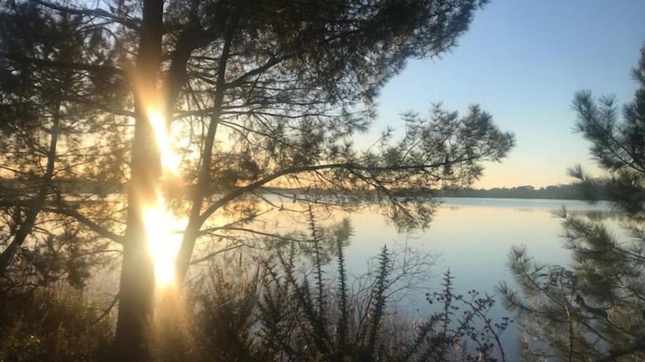 Photo of Outdoor in Arjuzanx