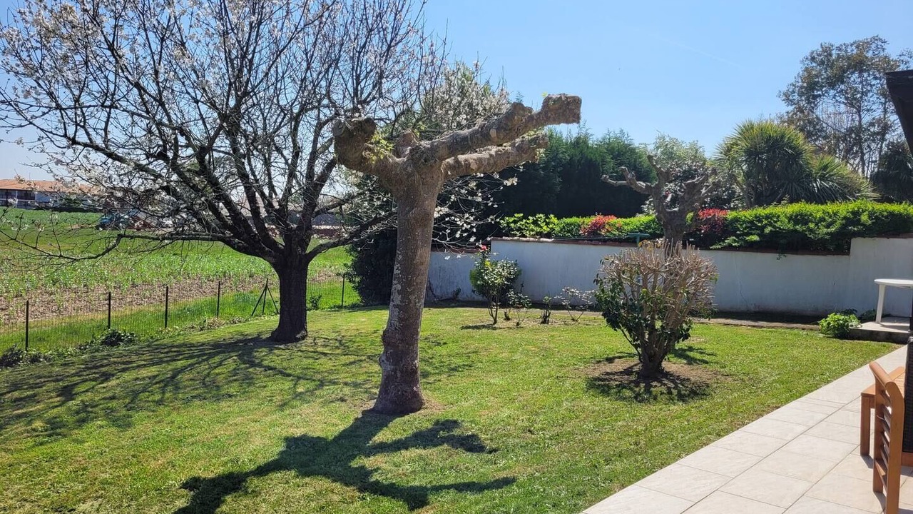 Photo of Outdoor in Boucau