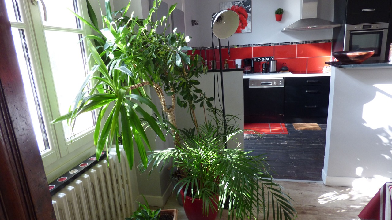 Photo of Kitchen in Bergerac