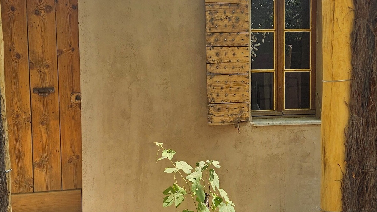 Photo of Outdoor in La Valette-du-Var