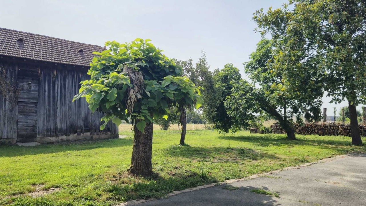 Photo of Outdoor in Bergerac