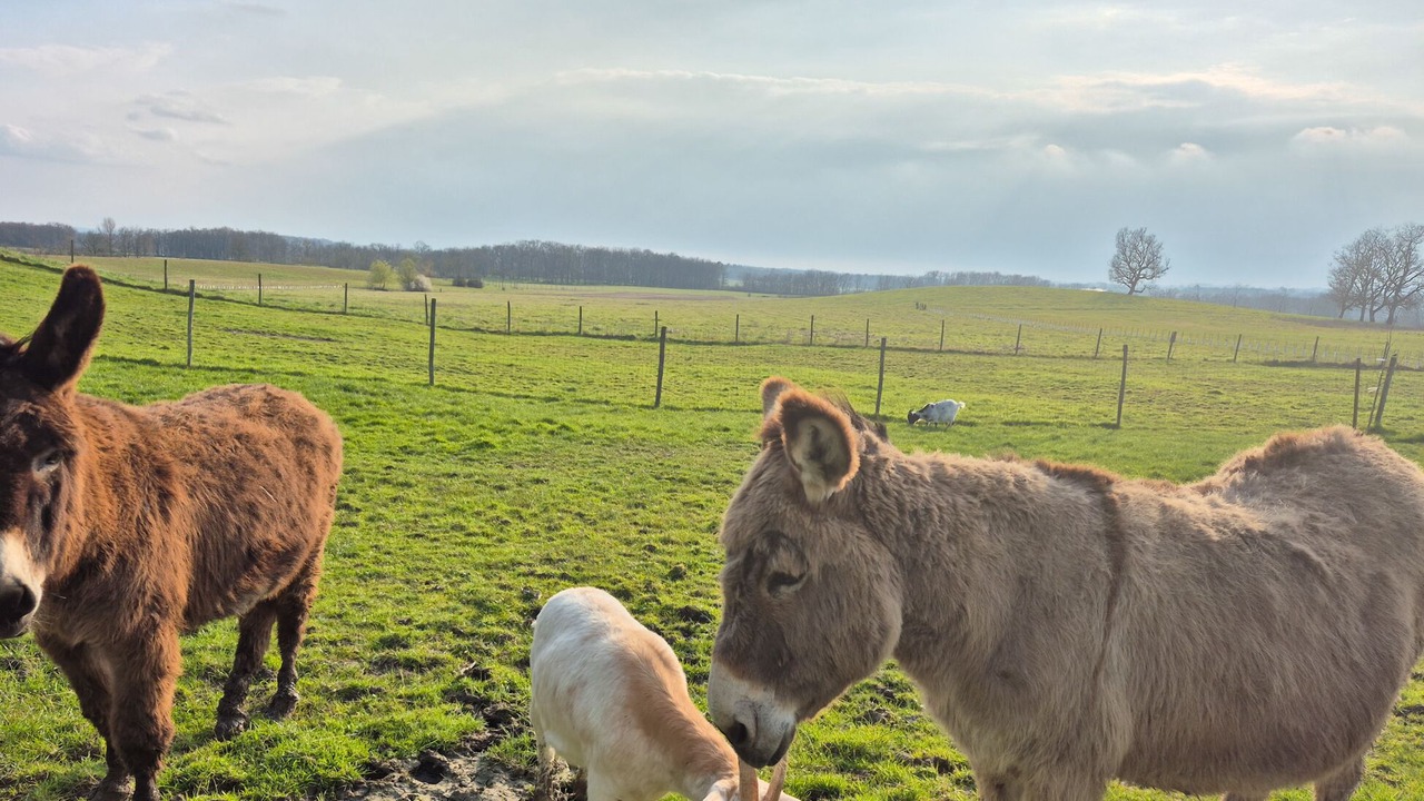 Photo of Others in Beaumont-du-Perigord
