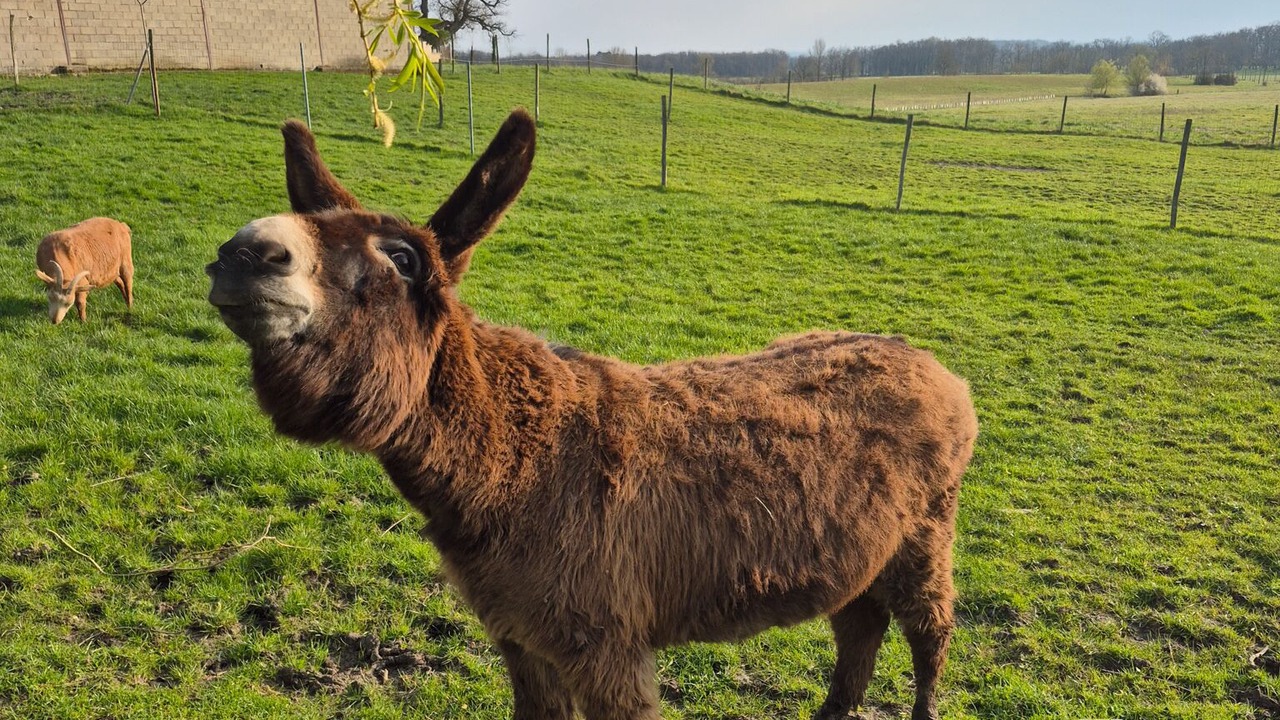 Photo of Others in Beaumont-du-Perigord