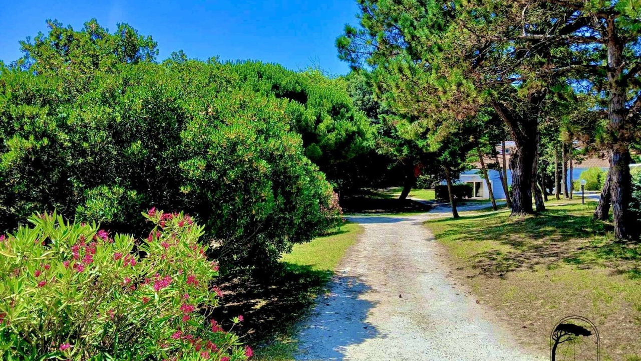 Photo of Outdoor in Saint-Georges-d'Oleron