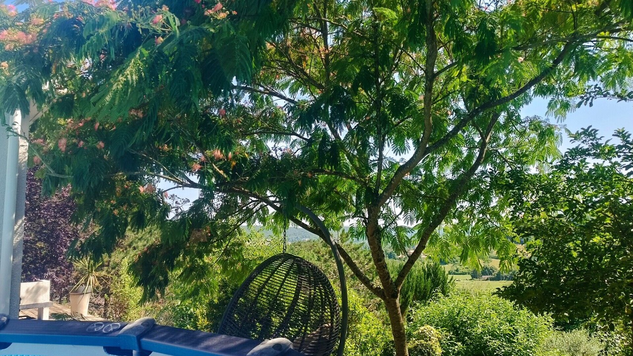 Photo of Outdoor in Antonne-et-Trigonant