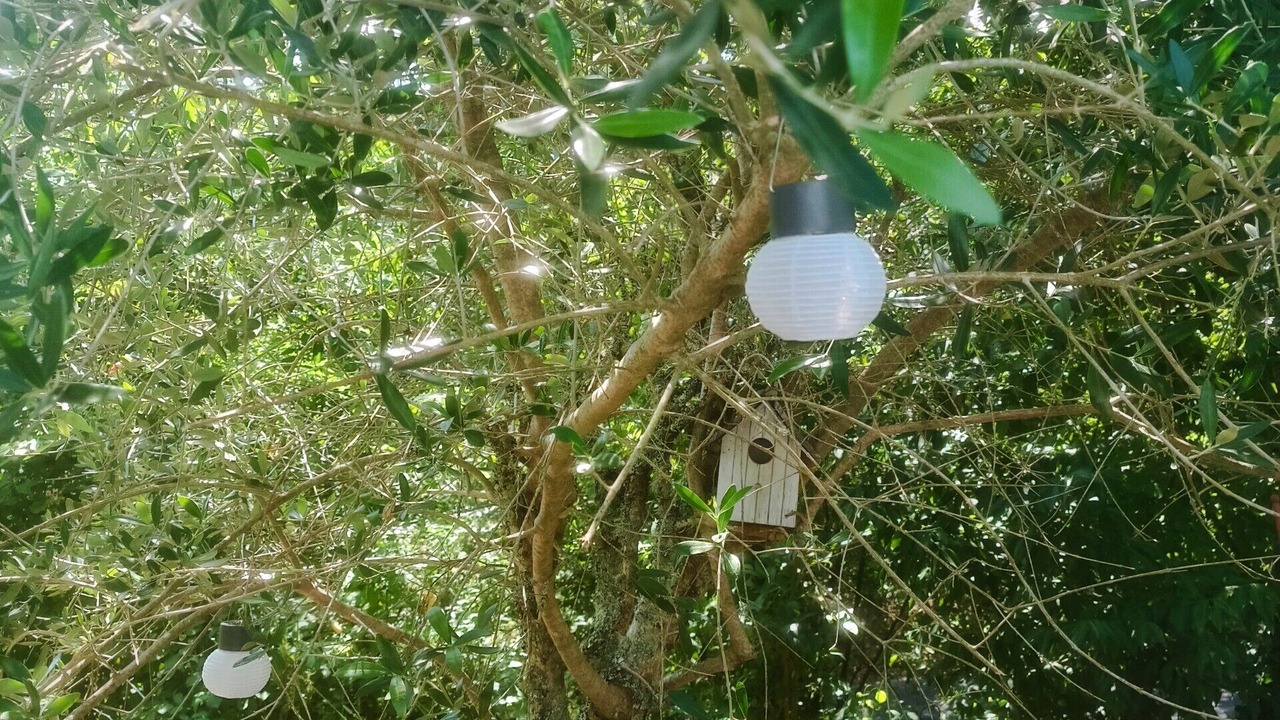 Photo of Outdoor in Antonne-et-Trigonant