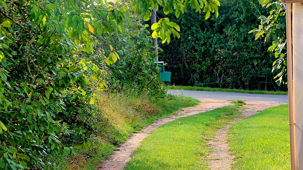 Photo of Outdoor in Beaugeay
