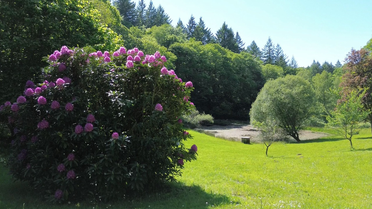 Photo of Outdoor in Compreignac