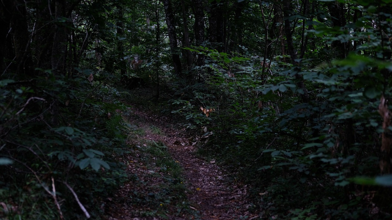 Photo of Others in Issac