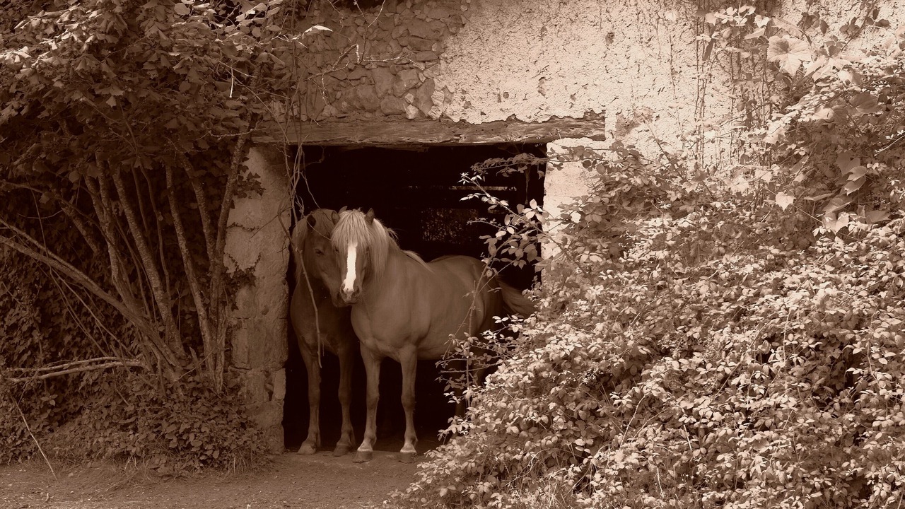 Photo of Others in Issac