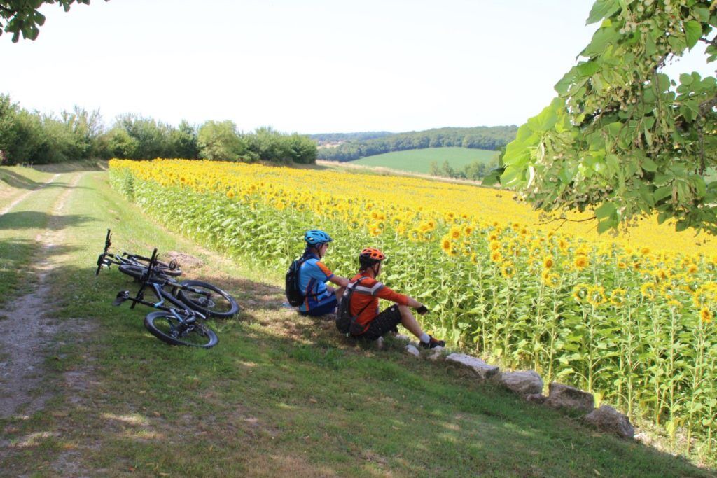 Photo of Others in Aubeterre-sur-Dronne