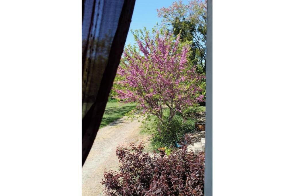 Photo of Outdoor in Lamothe-Landerron