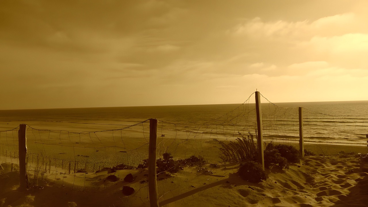 Photo of Others in Le Porge