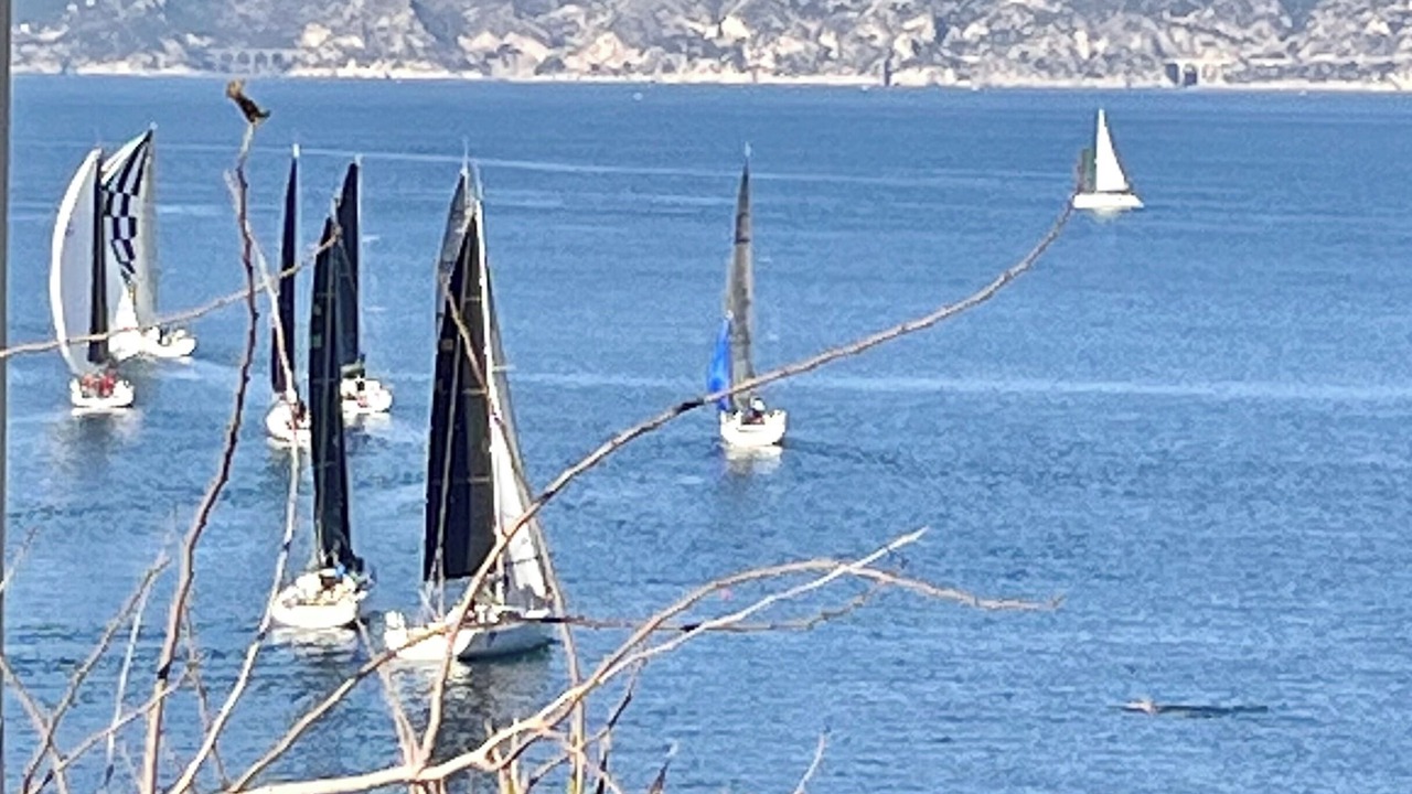 Photo of Others in Le Pharo