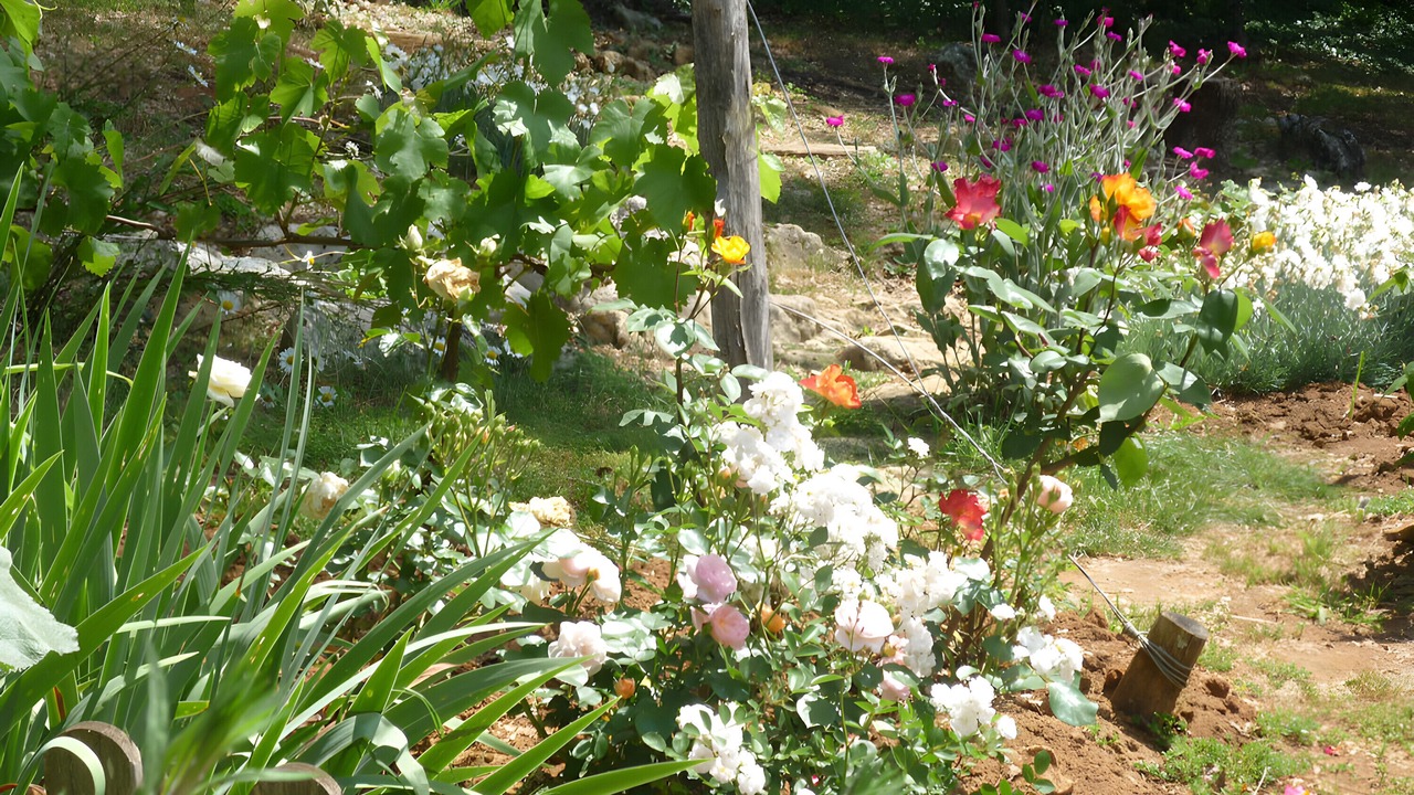 Photo of Outdoor in Carsac-Aillac