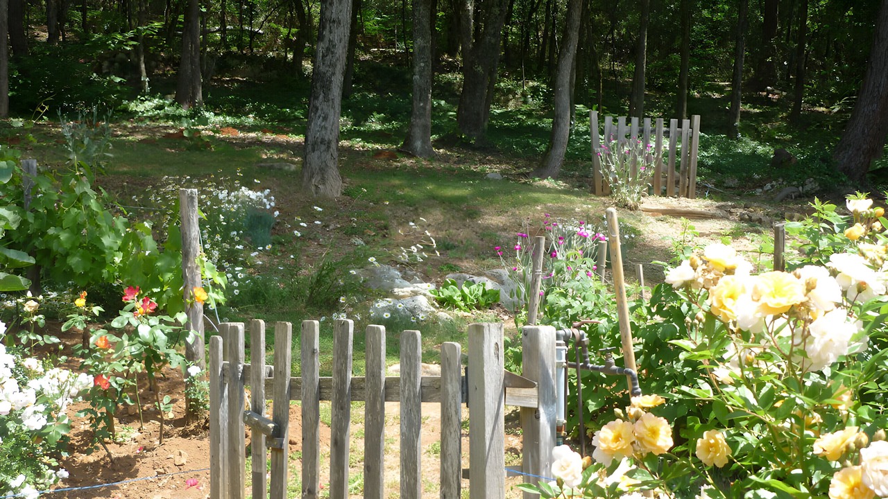 Photo of Outdoor in Carsac-Aillac