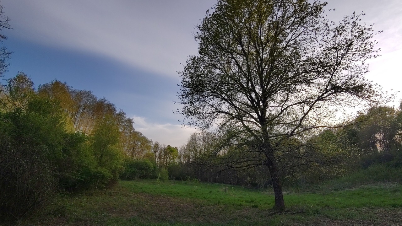 Photo of Others in Saint-Meard-de-Gurcon