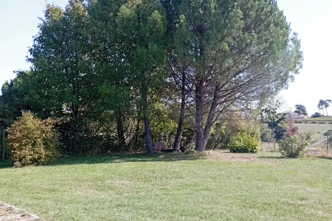 Photo of Outdoor in Burie